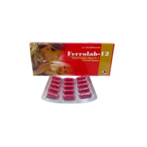 Ferrolab-12